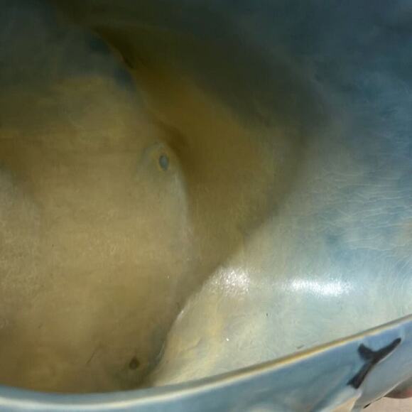 ROSEVILLE BLUE CERAMIC FLOWER ART CONCH SHELL SHAPED DECORATIVE FLOWER V… - Picture 3 of 6